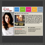 Flash website for Alma Salon in New York City